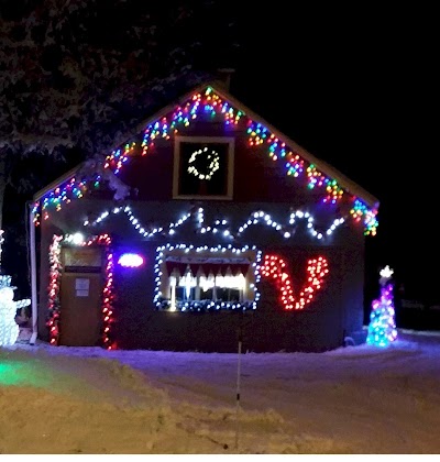 Forever LED Christmas Lights