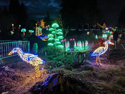 Garden d’Lights
