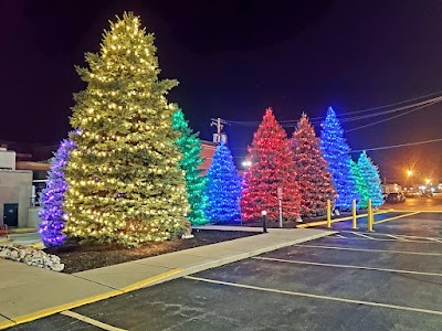 Holiday Lighting MN