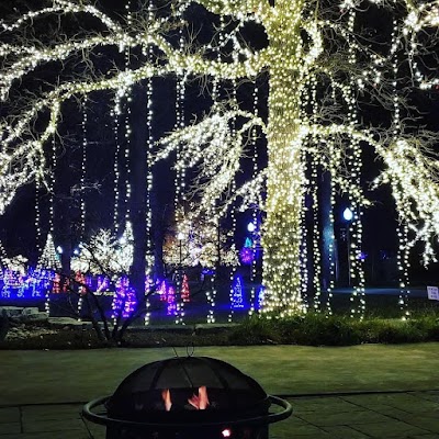 Landscape Illumination