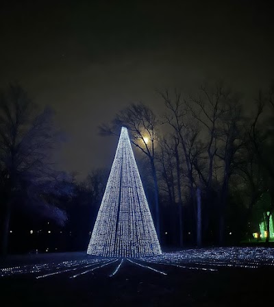 Light Up The Night Production LLC