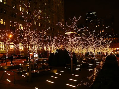 Long Island Christmas Light Installation