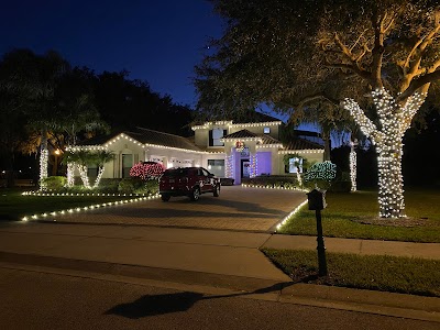 Natal Lights