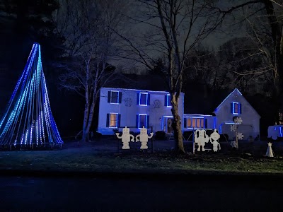 Rockin’ Robo Holiday Lights