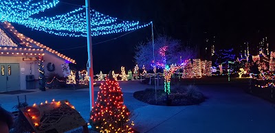 The Lights of Christmas